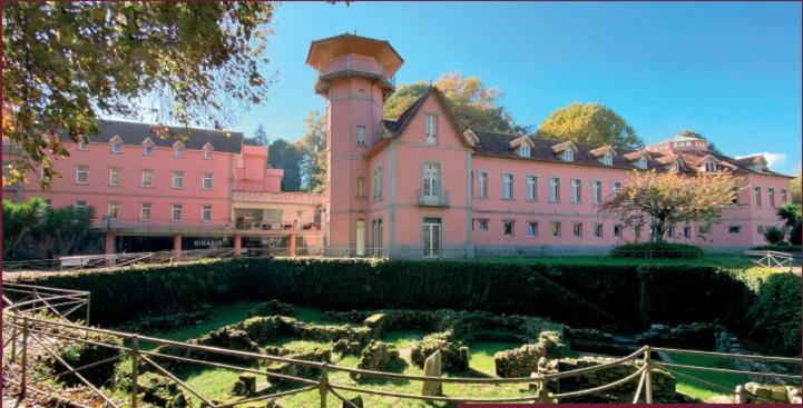 Palace Hotel & Spa - Termas De Sao Vicente Penafiel Ngoại thất bức ảnh
